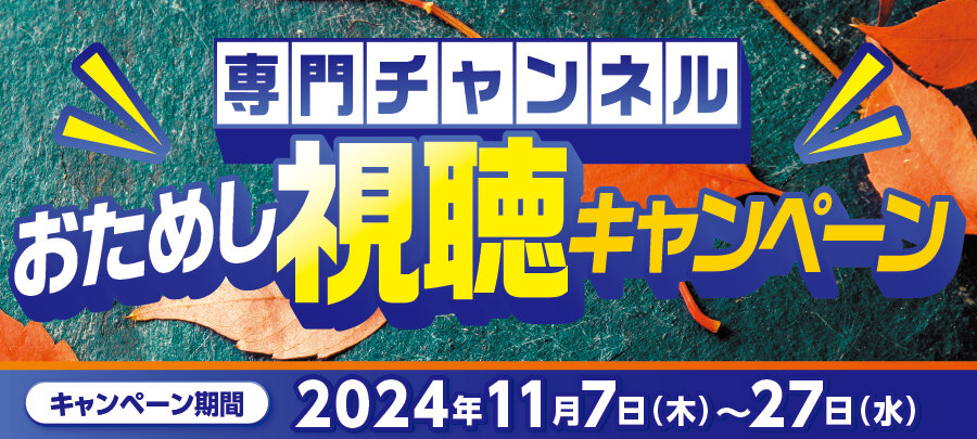 2024年11月SSお試し視聴CP