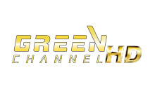 グリーンチャンネルHD 2チャンネルセット